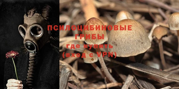 твердый Алексеевка