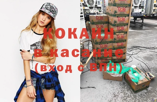 твердый Алексеевка