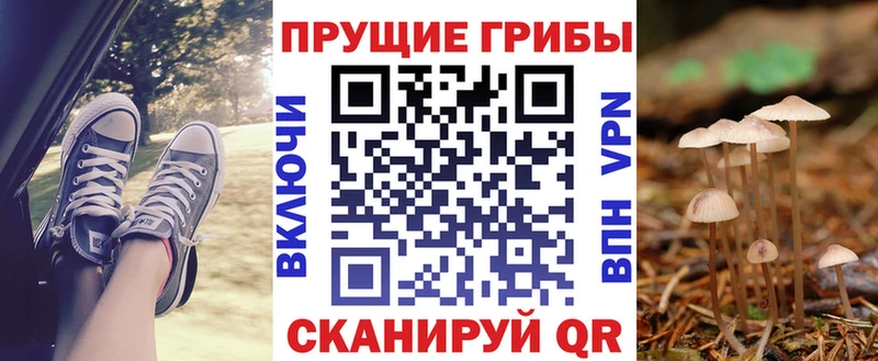 kraken онион  Качканар  Псилоцибиновые грибы мицелий 