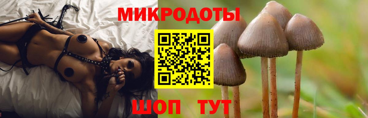 Галлюциногенные грибы Psilocybe  Вход с VPN  Качканар 
