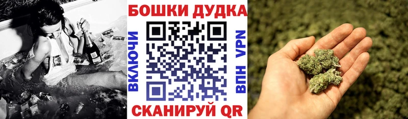 Бошки марихуана семена  сайты даркнета формула  Качканар 